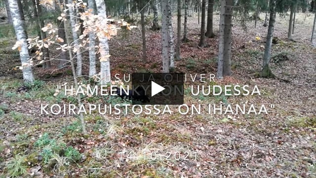 Katso video: Aikansa se otti, mutta Hämeenkyrön koirapuisto on nyt auki – viralliset avajaiset järjestetään myöhemmin syksyllä
