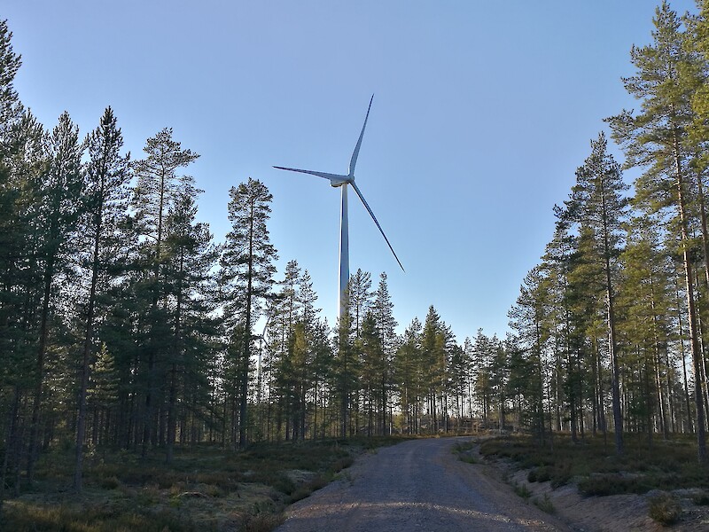 Arkistokuva Ratiperän tuulivoimalapuistosta.